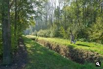 Zuidbroek, dorpsbos