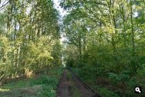 Het Veen
