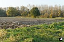 Heesbeemden