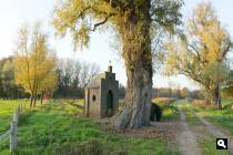 Heesbeemden