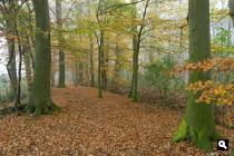 Postweg
