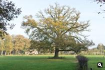 Landgoed De Poll