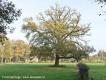 Groene Wissel Klarenbeek