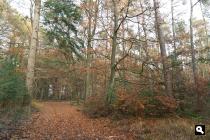 Landgoed De Poll
