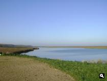 prachtige oostvaardersplassen in de novemberzon