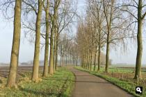 Streeplandsedijk