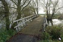 Wijde Biesbosch