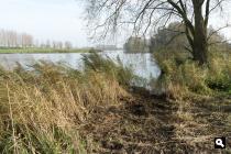 Wijde Biesbosch
