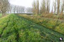 Grasdijk