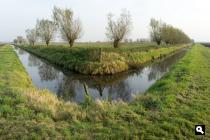 Polder Vrije Kavelen