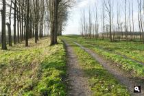 Markdijk