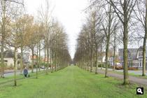 Apeldoorn, Koning Lodewijklaan