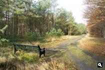 Paleispark, bosweg