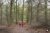 Paleispark, Achterpark