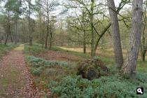 Paleispark, Wilhelminadal