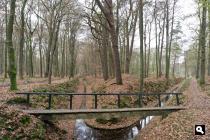 Paleispark, Nieuwe sprengen