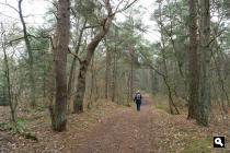 Landgoed Bornia