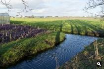 Rijnoordpolder