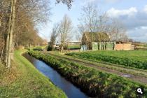 Elsgeester Polder