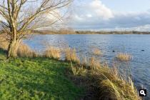 Klinkenbergerplas