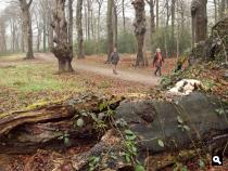 Landgoed Huys te Warmont