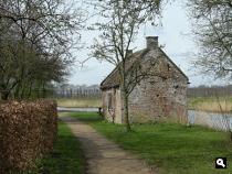 Betuwe