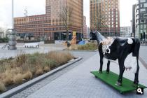 Amsterdam-Zuid, Malherplein