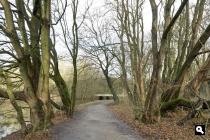 Amsterdamse Bos