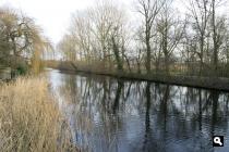 Kalfjeslaan, Kleine Loopveld
