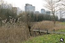 Beatrixpark