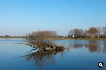 Betuwe