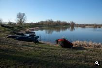 Betuwe