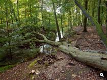 Etappe 2: Hulshorst - Leuvenum