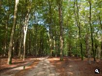 Etappe 3: Leuvenum - Staverden