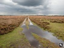 Etappe 4: Staverden -Garderen