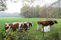 Landgoederentocht
