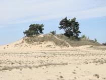 Etappe 6: Kootwijk - Harskamp