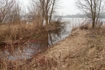 Gaasperplas
