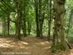 Etappe 21: Hoog-Keppel - Doetinchem