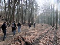 Heuvelrugwandeling