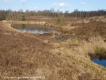 Bargerveen Midden