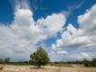 Loonse en Drunense Duinen
