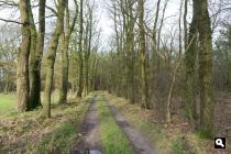 Kootwijk, landweg