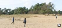 Kootwijkerzand