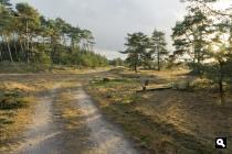 Nieuw Milligsezand