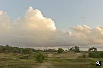  Nieuw Milligsezand