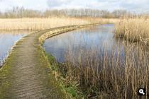 Groene Wissel Nieuwerkerk aan den IJssel