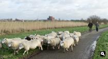 Groene Wissel Nieuwerkerk aan den IJssel