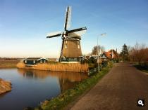 Molen en miniatuur in Groenveld