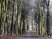 Trage Tocht Kasteel Doorwerth